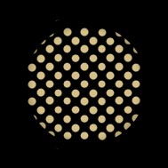 フラクショナル照射